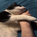Cuddly Tucker